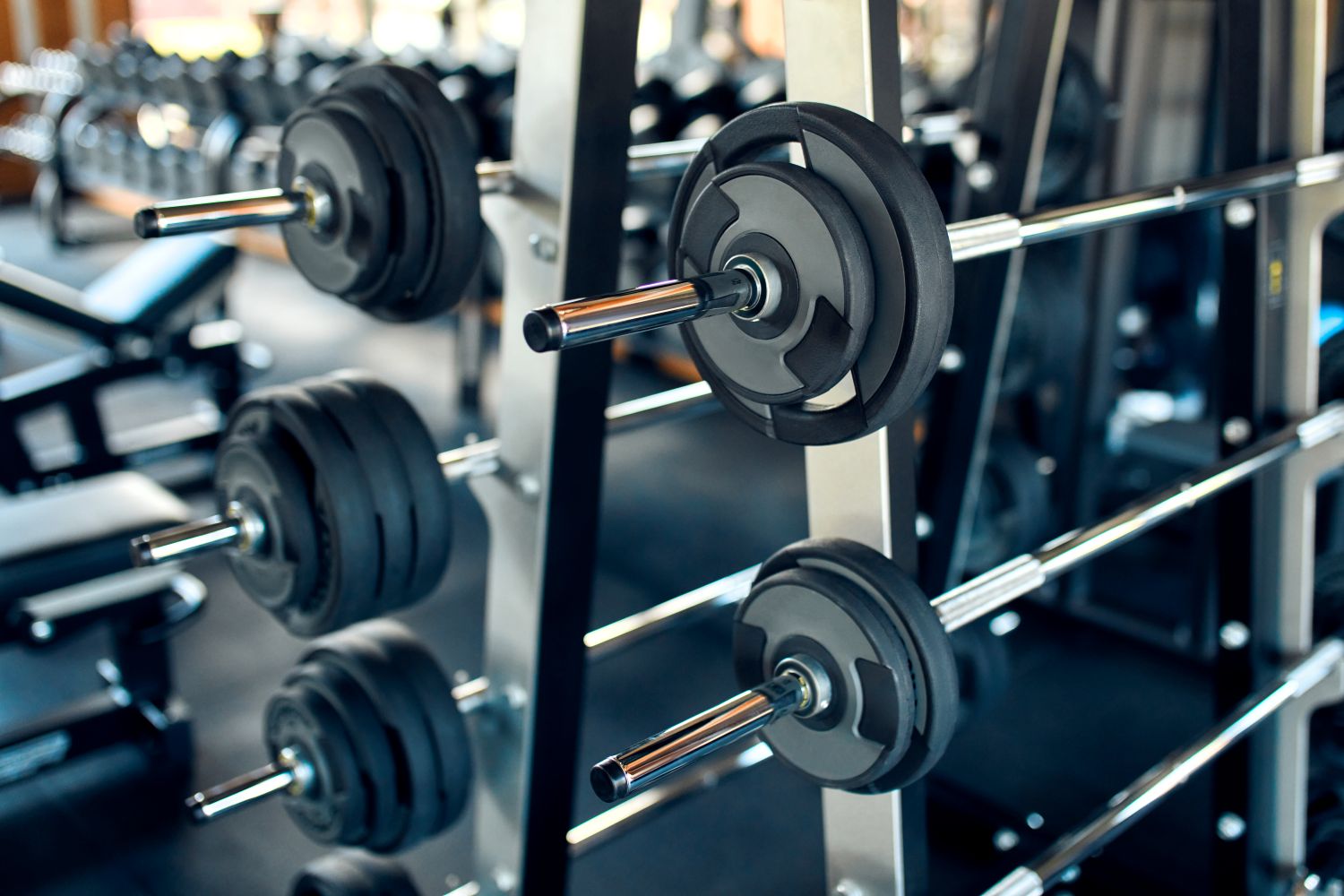 Weight training equipment in the gym